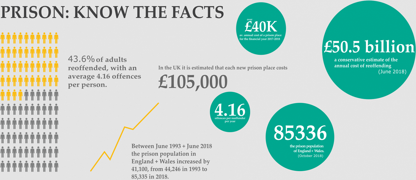 Infographic to understand the facts of prison